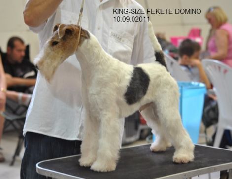 king_size_fekete_domino.jpg king_size_fekete_domino.jpg